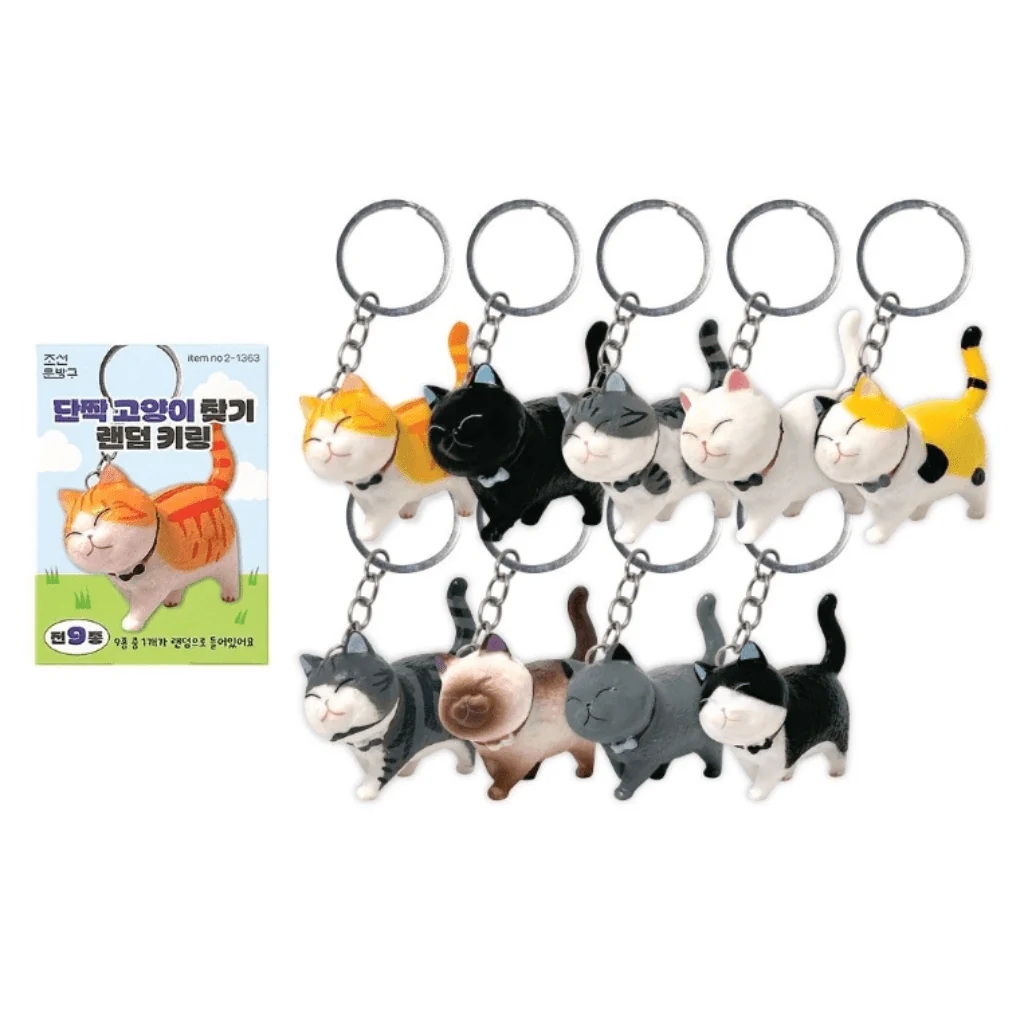 Best Friend Cat Collectable Keyring Blind Box - Image 6