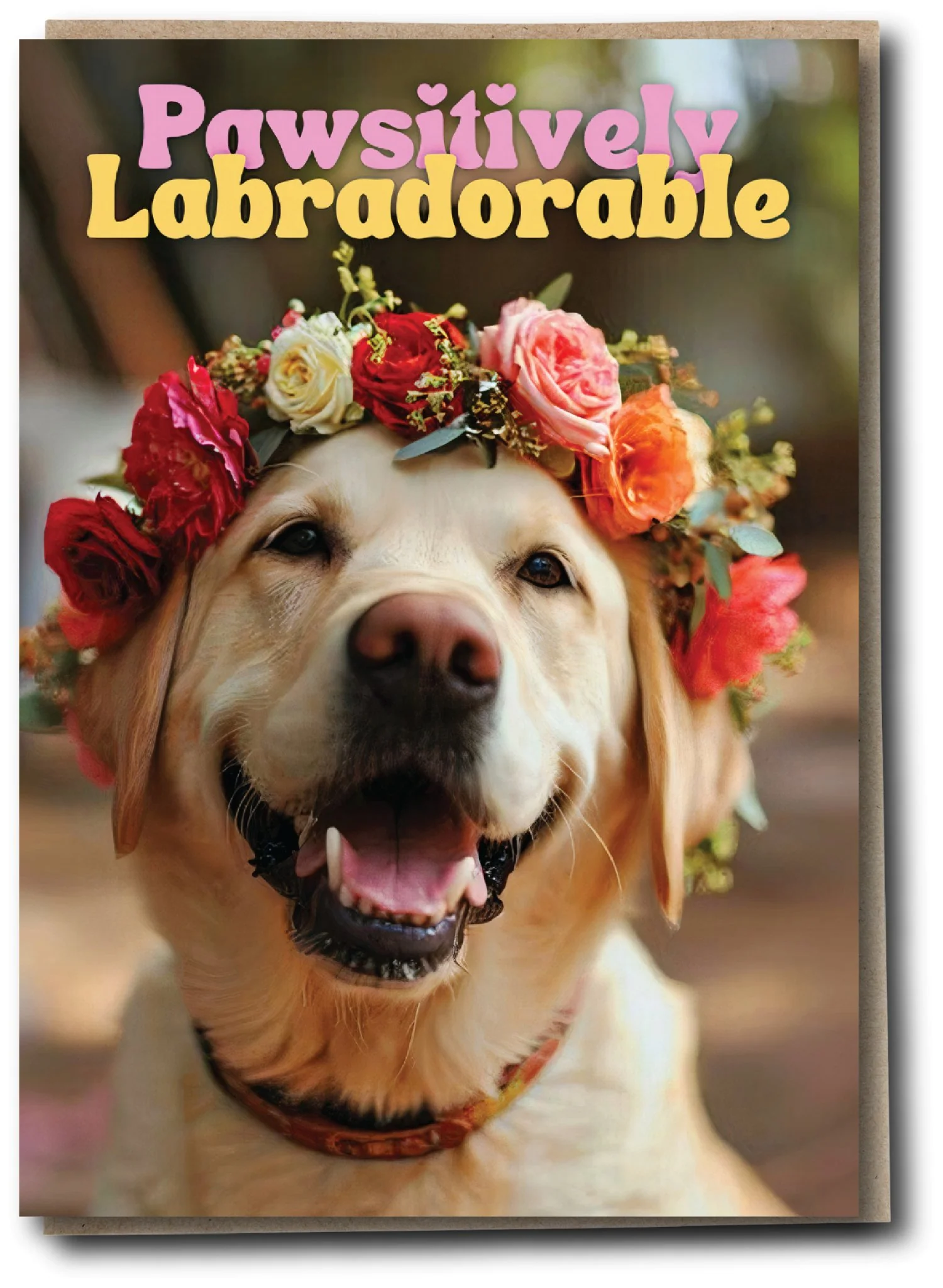 Silly Sausage - Labradorable