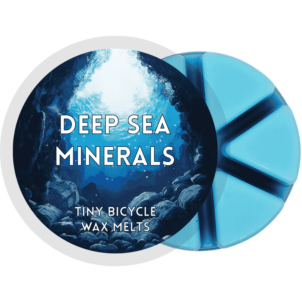 Deep Sea Minerals Segment Wax Melt